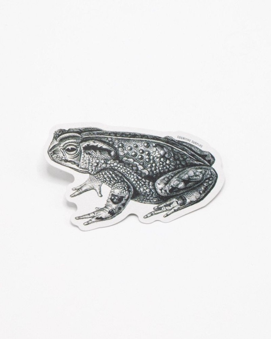 Stationery Cognitive Surplus | Bocourt'S Toad Sticker