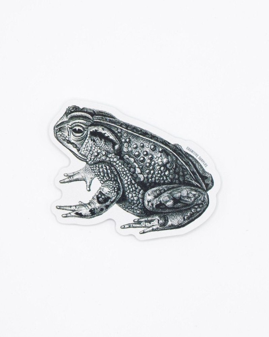 Stationery Cognitive Surplus | Bocourt'S Toad Sticker