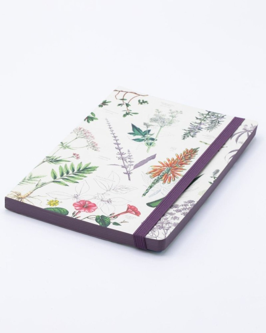 Notebooks Cognitive Surplus | Medicinal Herbs - Herbal Pharmacy A5 Notebook | Cognitive Surplus