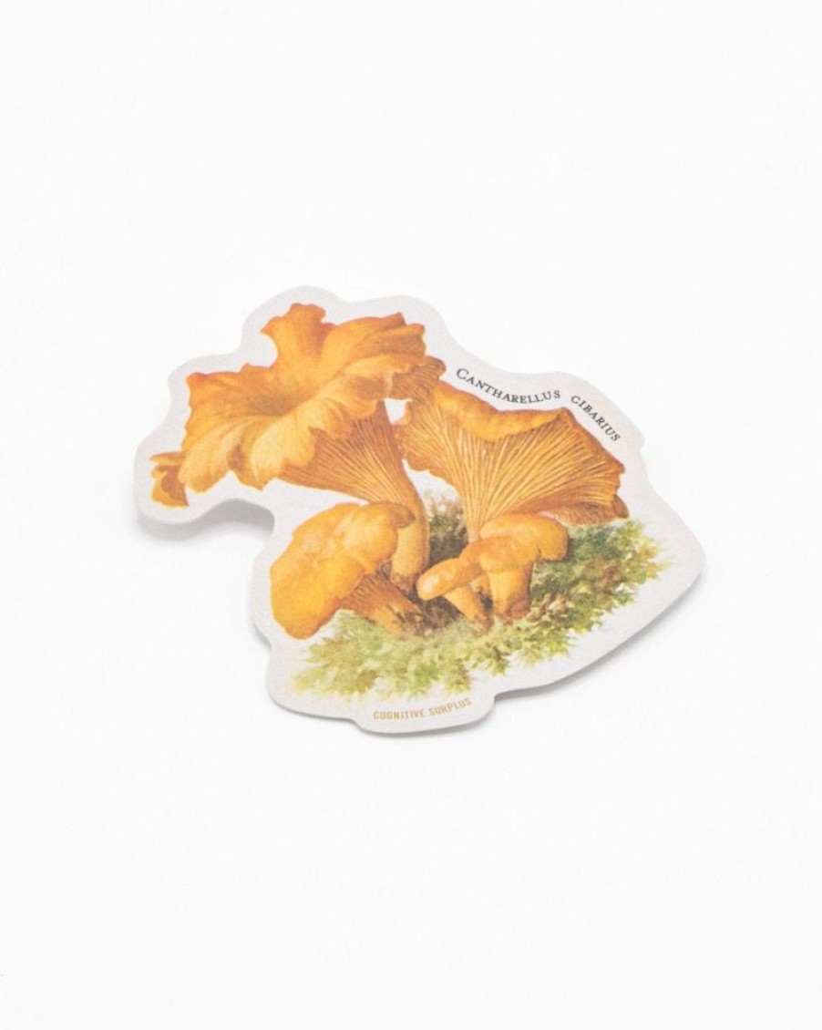 Stationery Cognitive Surplus | Chanterelle Mushroom Sticker