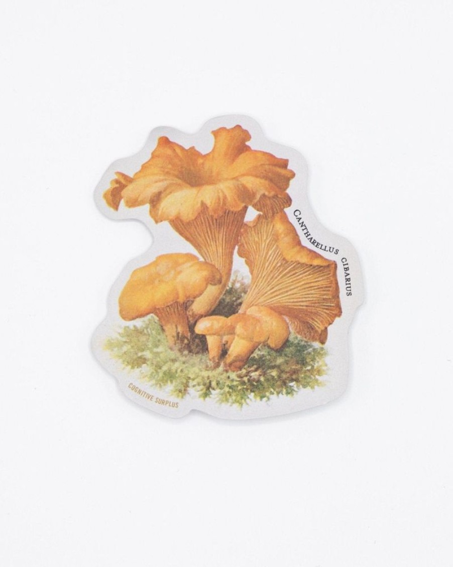 Stationery Cognitive Surplus | Chanterelle Mushroom Sticker