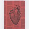 Notebooks Cognitive Surplus | Anatomical Heart Hardcover Notebook