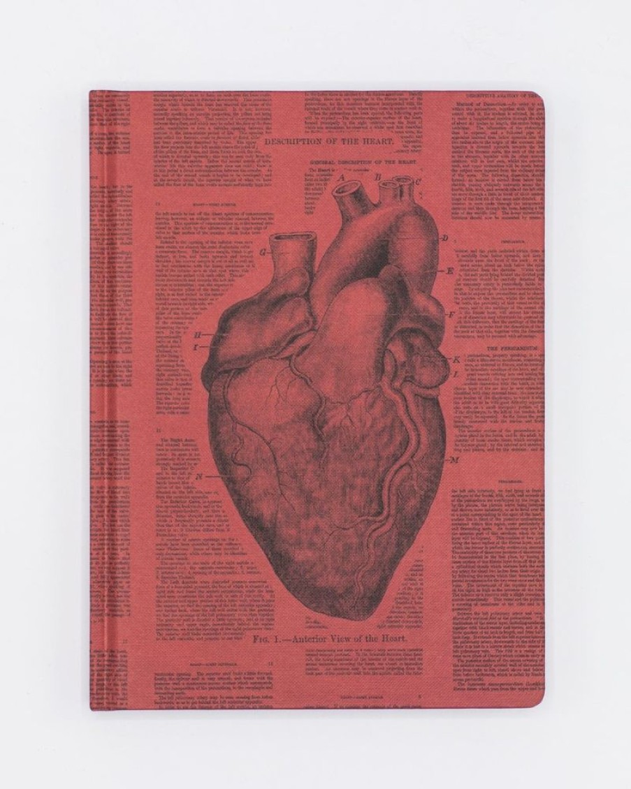 Notebooks Cognitive Surplus | Anatomical Heart Hardcover Notebook