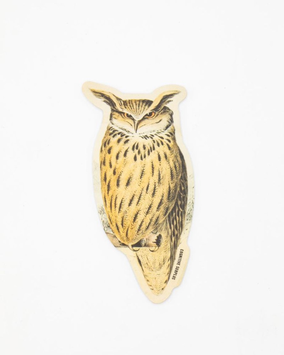 Stationery Cognitive Surplus | Eagle Owl Sticker