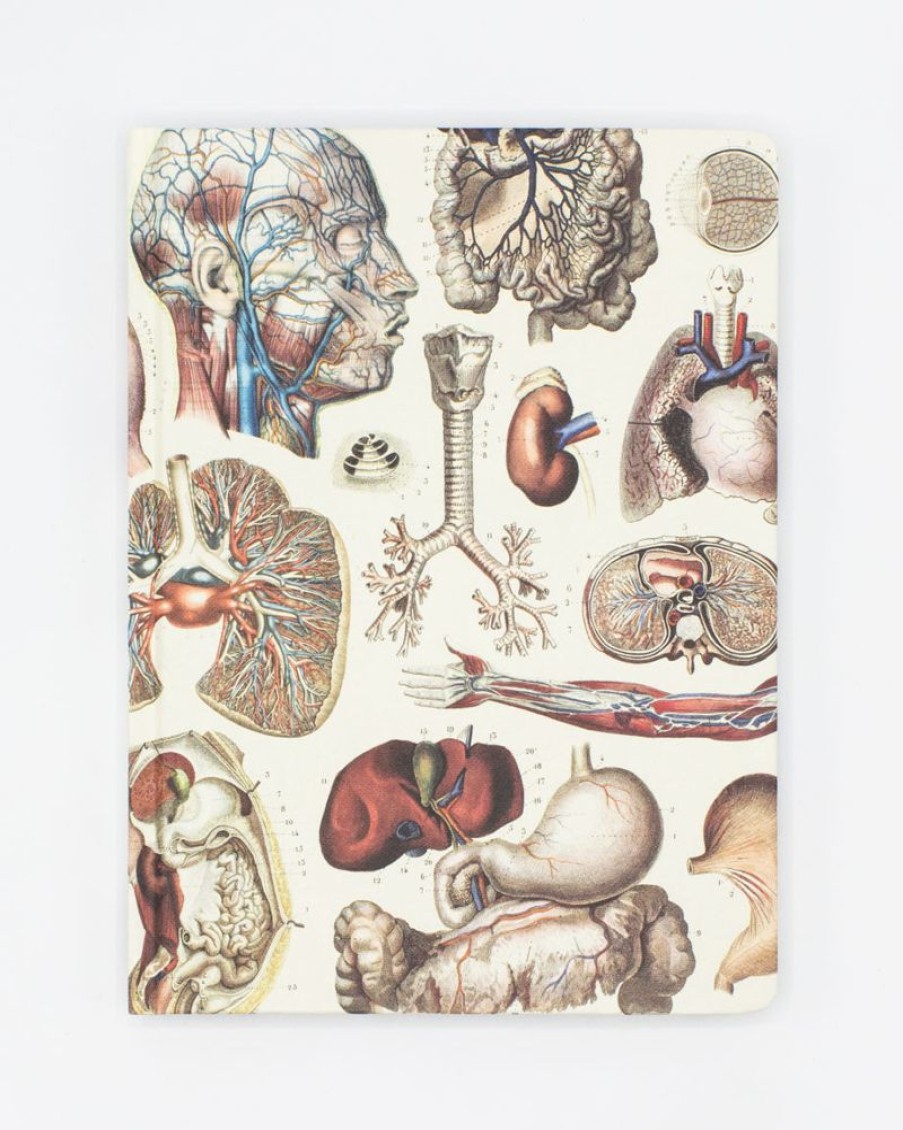 Notebooks Cognitive Surplus | Internal Medicine Hardcover Notebook | Cognitive Surplus