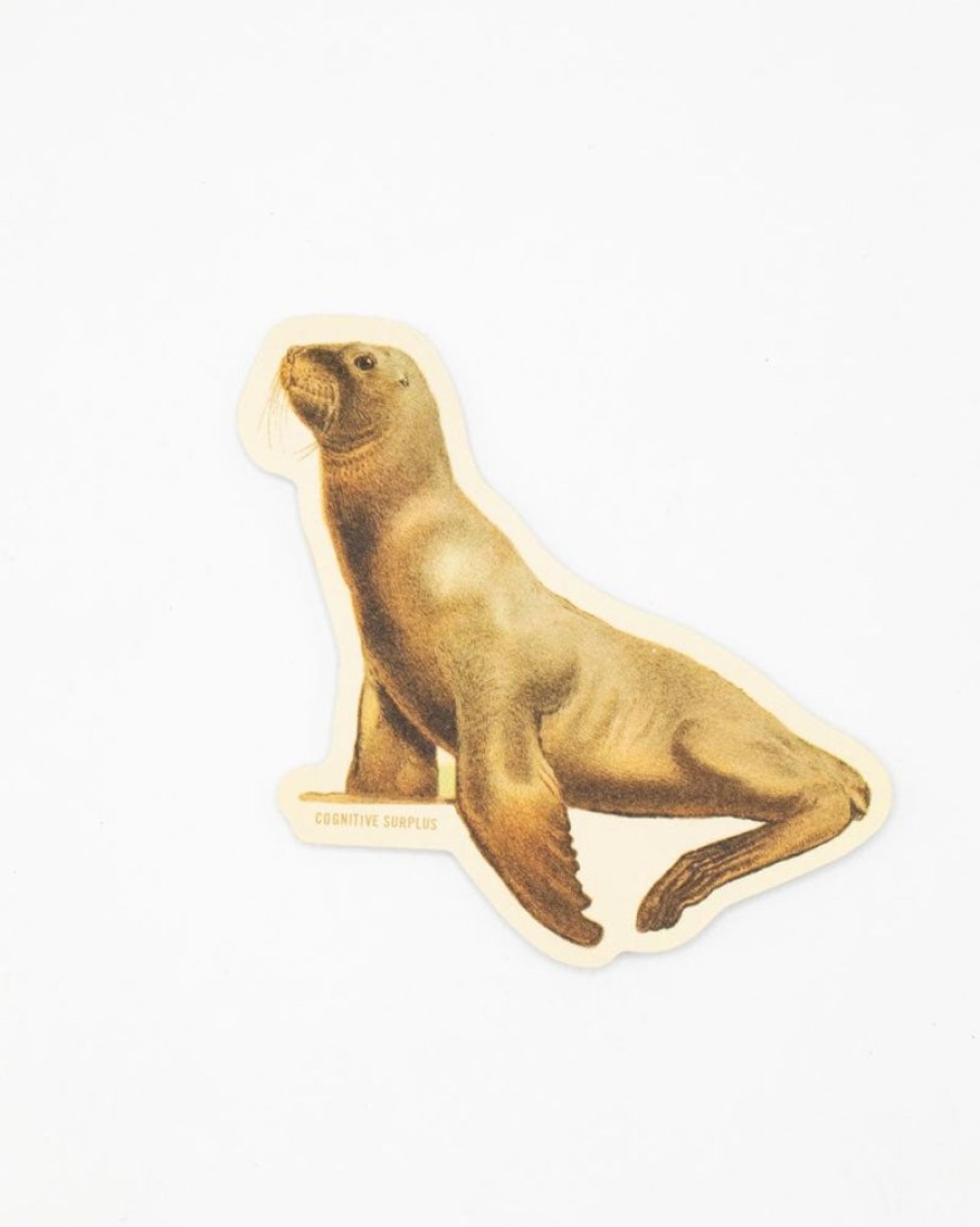 Stationery Cognitive Surplus | Sea Lion Sticker