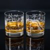 Kitchen + Bar Cognitive Surplus | Astronomy Whiskey Glasses | Astronomy Gifts