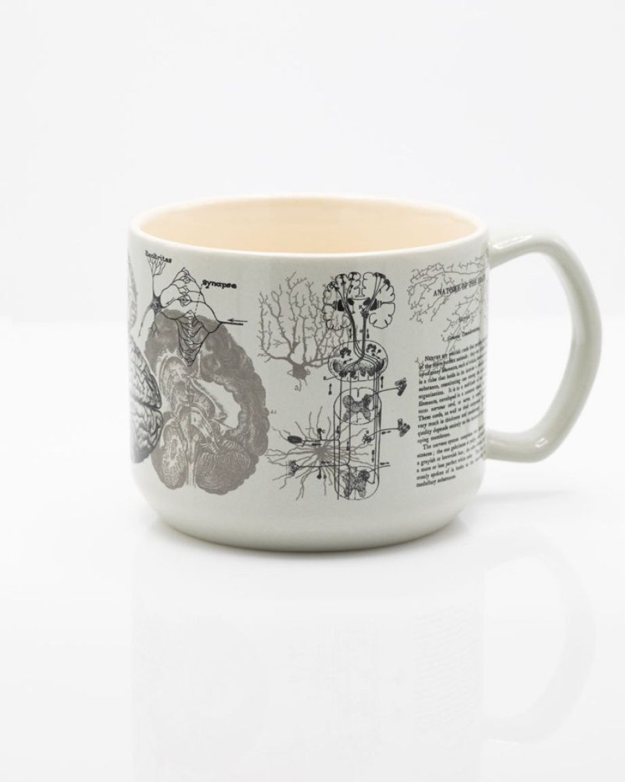 Kitchen + Bar Cognitive Surplus | Brain Anatomy Mug - Medical Mug | Cognitive Surplus