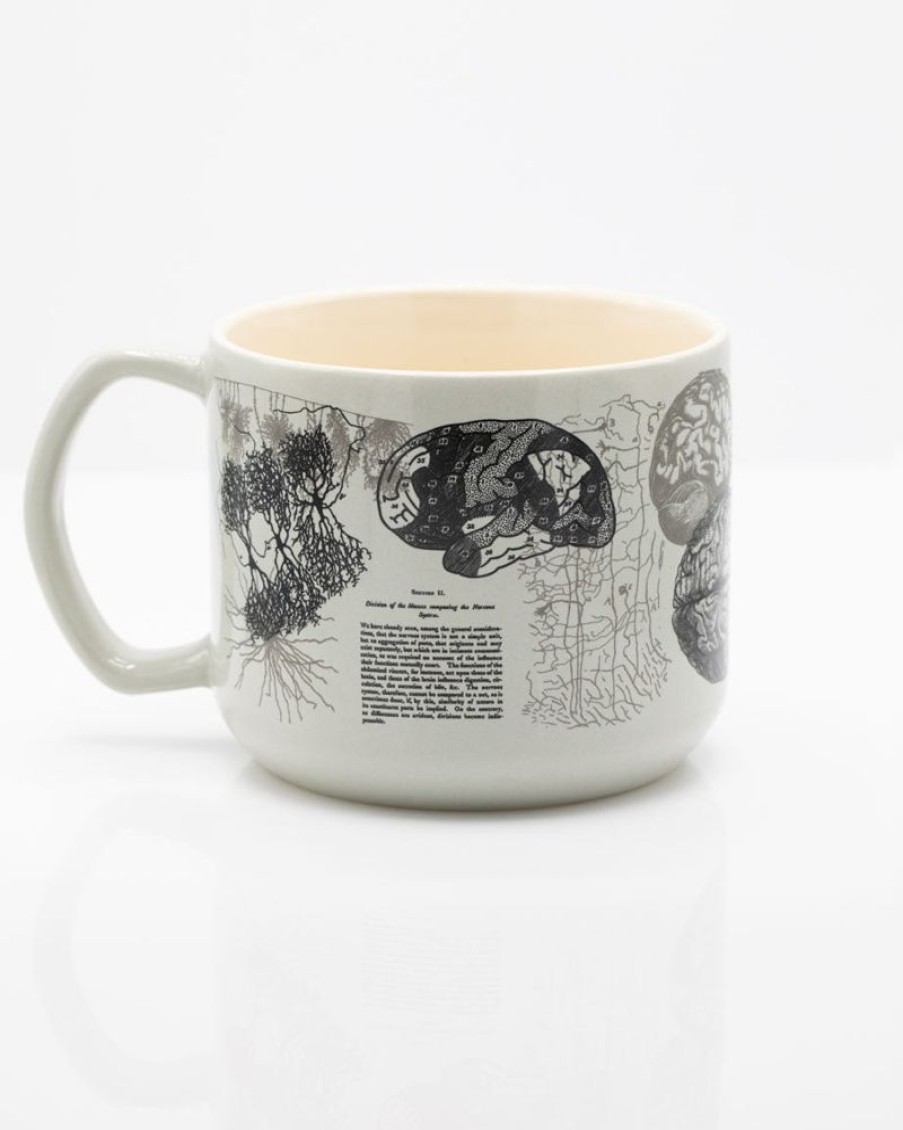 Kitchen + Bar Cognitive Surplus | Brain Anatomy Mug - Medical Mug | Cognitive Surplus