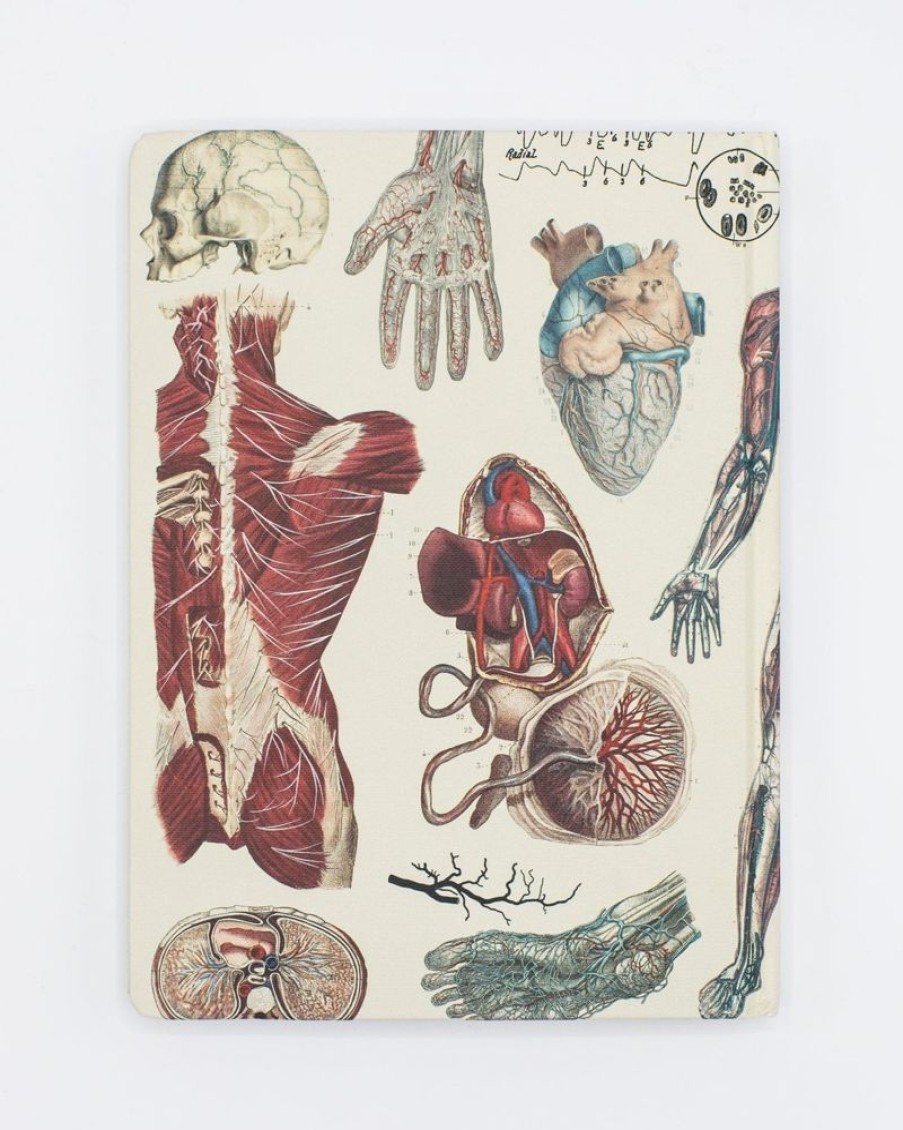 Notebooks Cognitive Surplus | Anatomy: Vascular Hardcover Notebook - Dot Grid