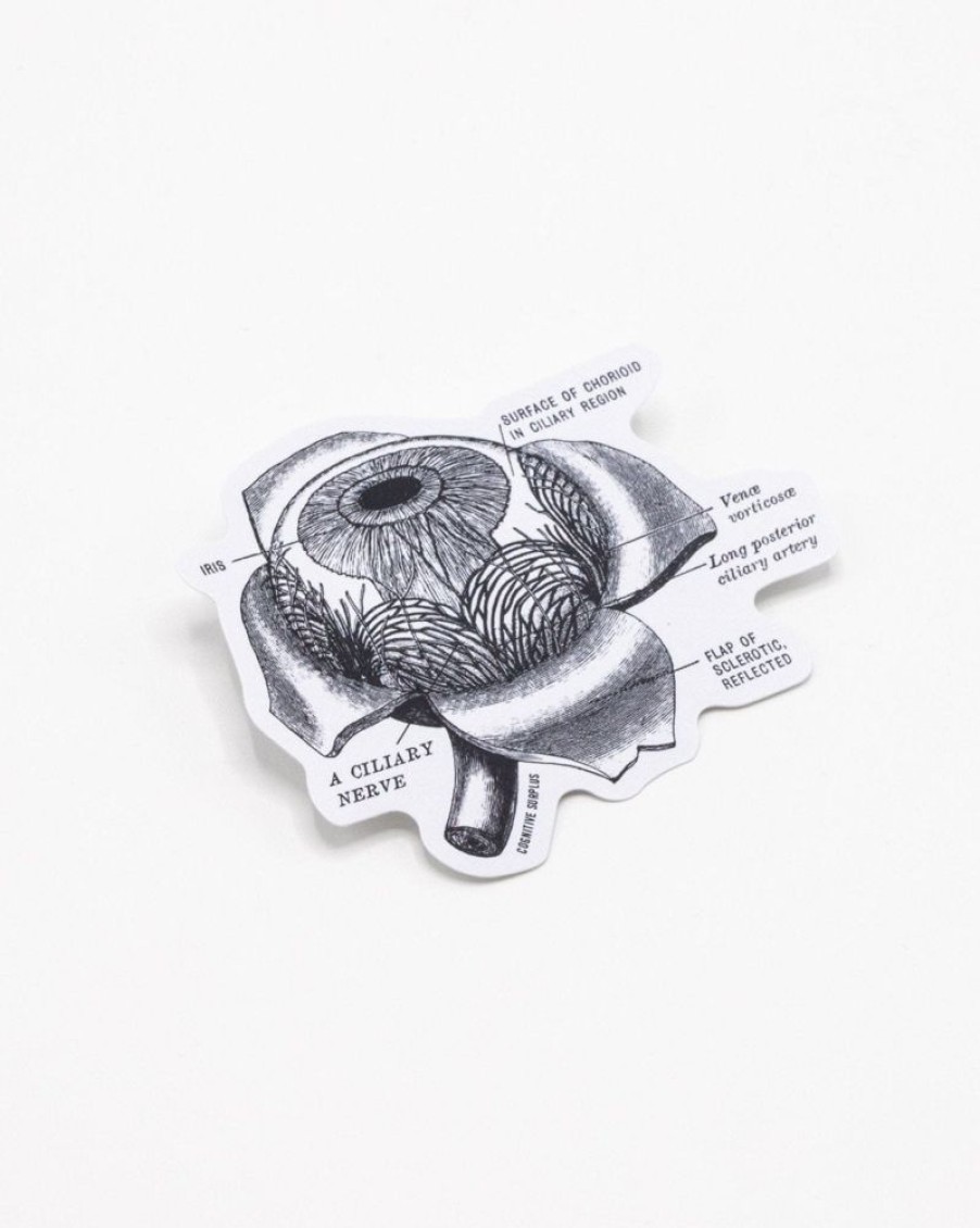 Stationery Cognitive Surplus | Eye Anatomy Sticker