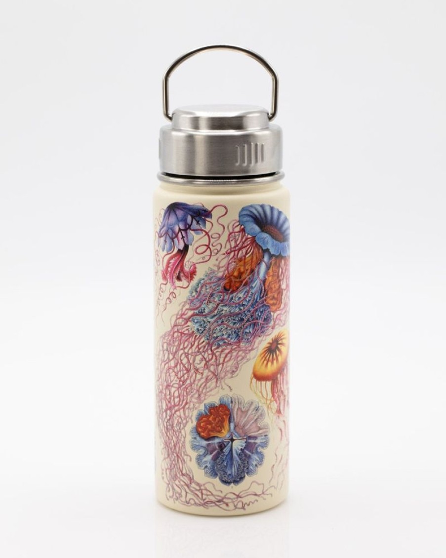 Kitchen + Bar Cognitive Surplus | Haeckel Jellyfish Stainless Steel Vacuum Flask / Insulated Travel Mug