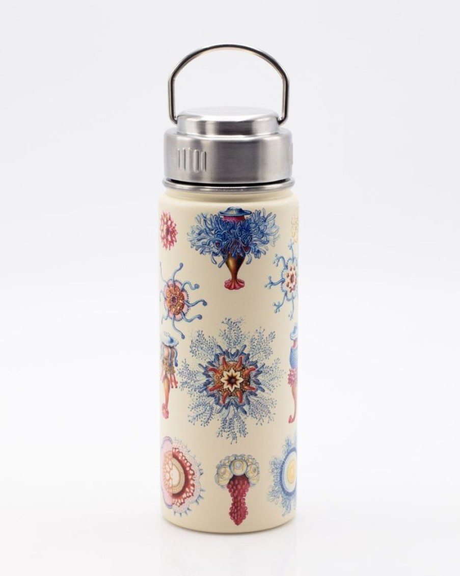 Kitchen + Bar Cognitive Surplus | Haeckel Jellyfish Stainless Steel Vacuum Flask / Insulated Travel Mug