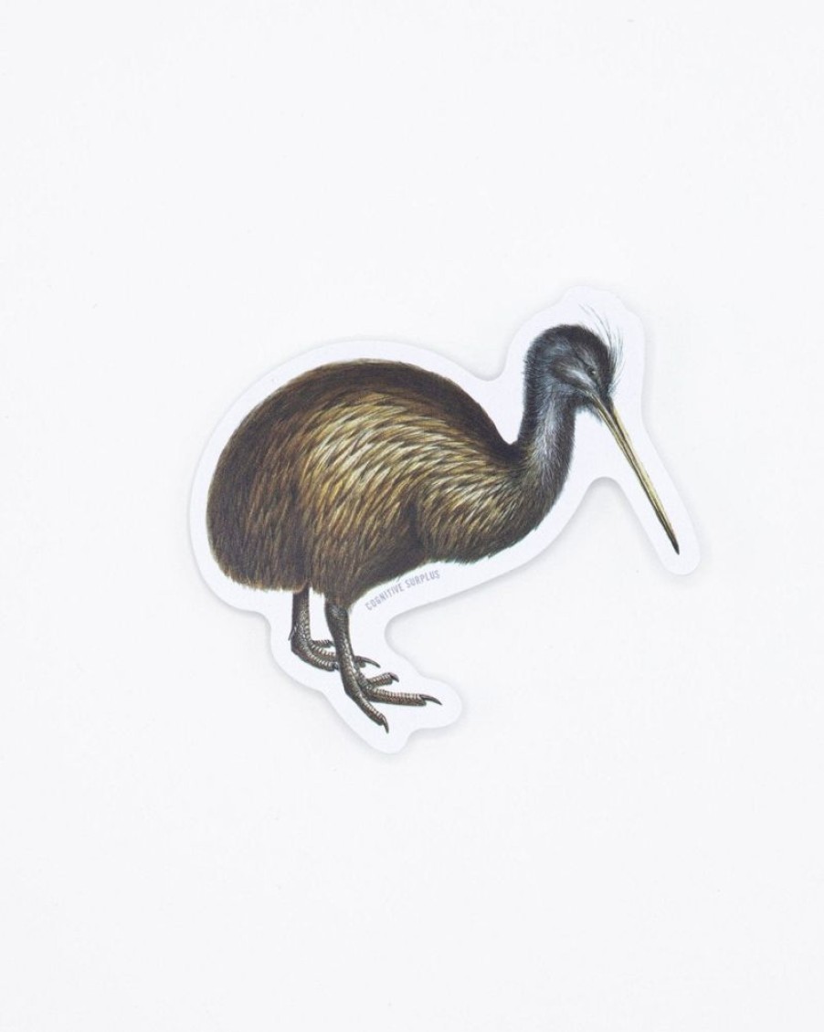 Stationery Cognitive Surplus | Kiwi Bird Sticker