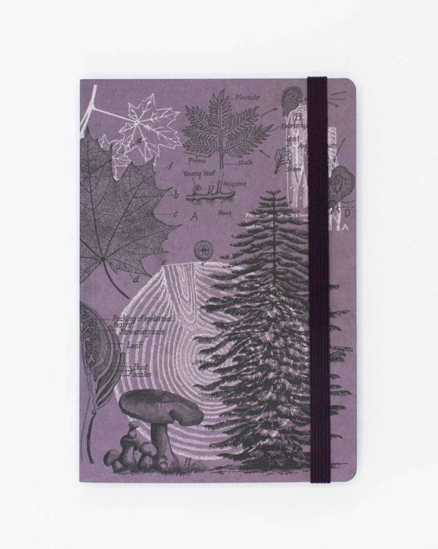 Notebooks Cognitive Surplus | Forest At Dusk A5 Notebook - Dendrology - Dotted Lines | Cogntiive Surplus