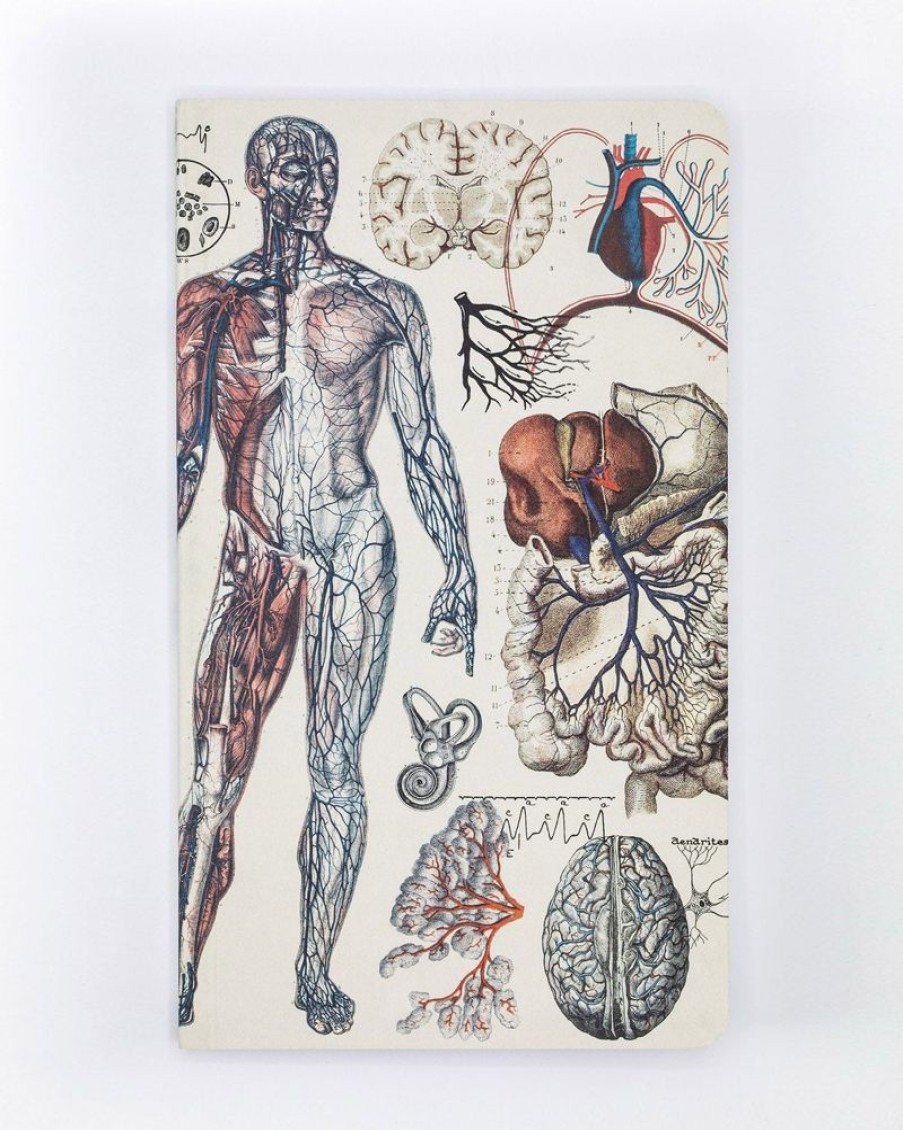 Notebooks Cognitive Surplus | Anatomy: Vascular Yearly Planner