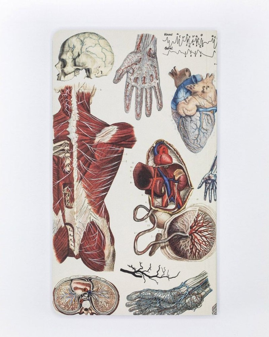 Notebooks Cognitive Surplus | Anatomy: Vascular Yearly Planner