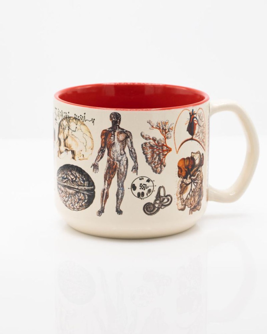 Kitchen + Bar Cognitive Surplus | Vascular Anatomy Mug - Nurse Mug | Cognitive Surplus