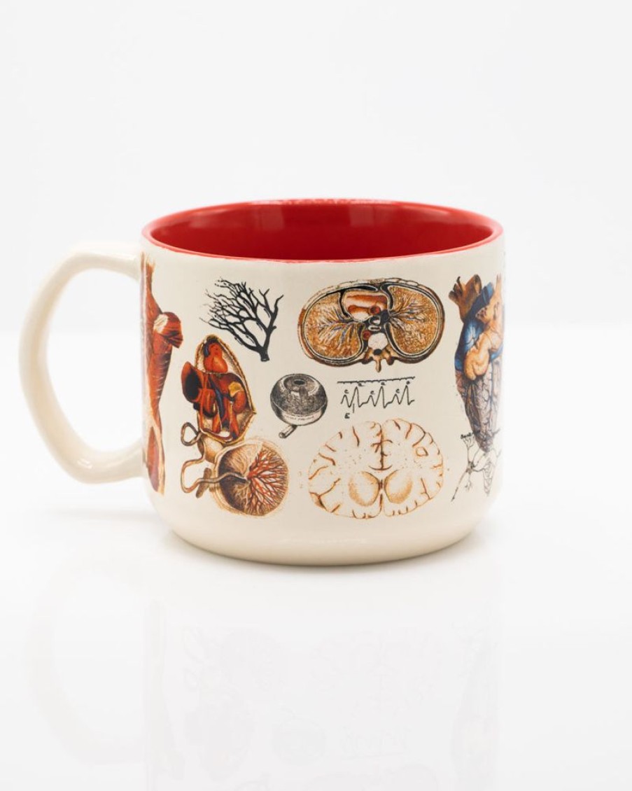 Kitchen + Bar Cognitive Surplus | Vascular Anatomy Mug - Nurse Mug | Cognitive Surplus