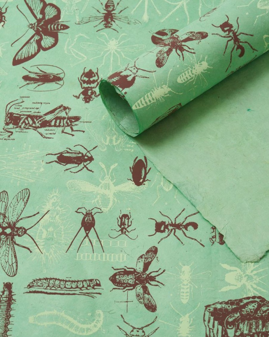 Stationery Cognitive Surplus | Garden Friends Wrapping Paper