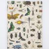 Notebooks Cognitive Surplus | Insect Softcover Notebook - Dot Grid