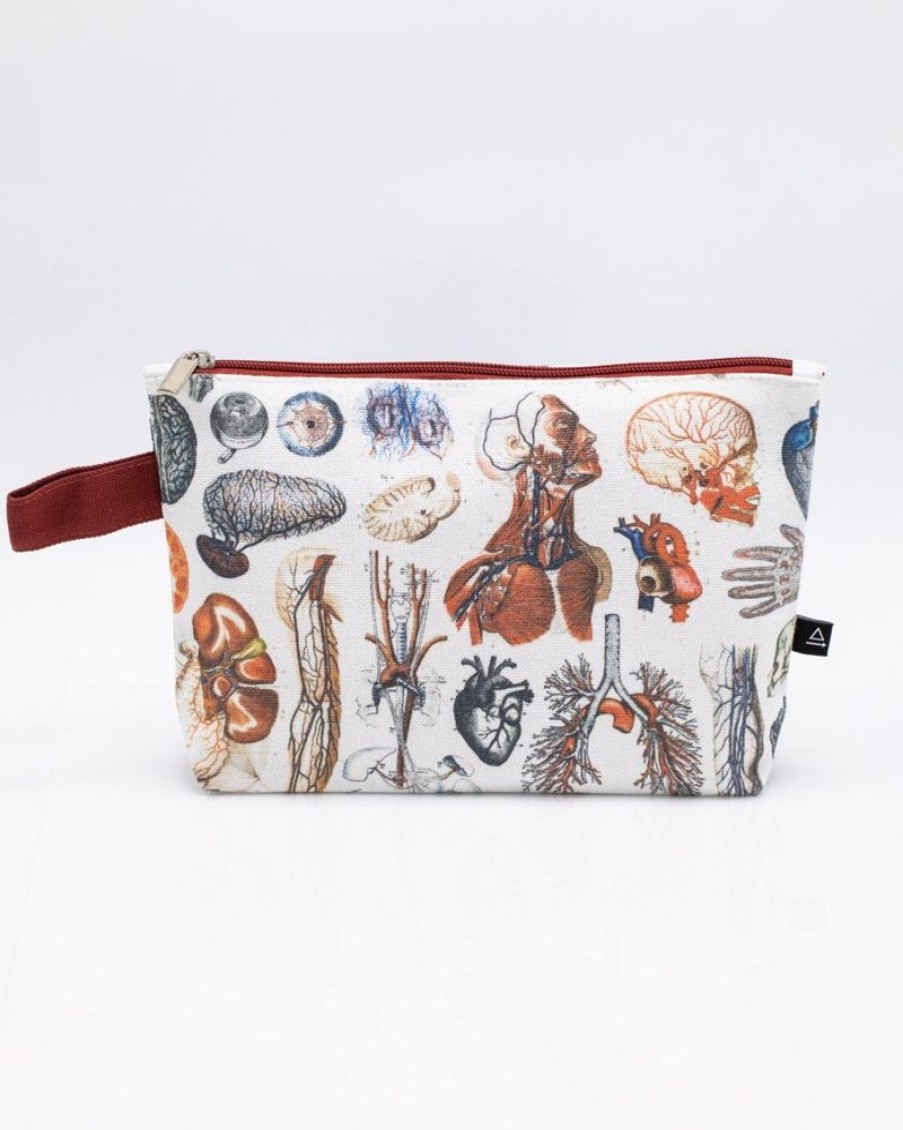 Bags Cognitive Surplus | Anatomy Pencil Bag