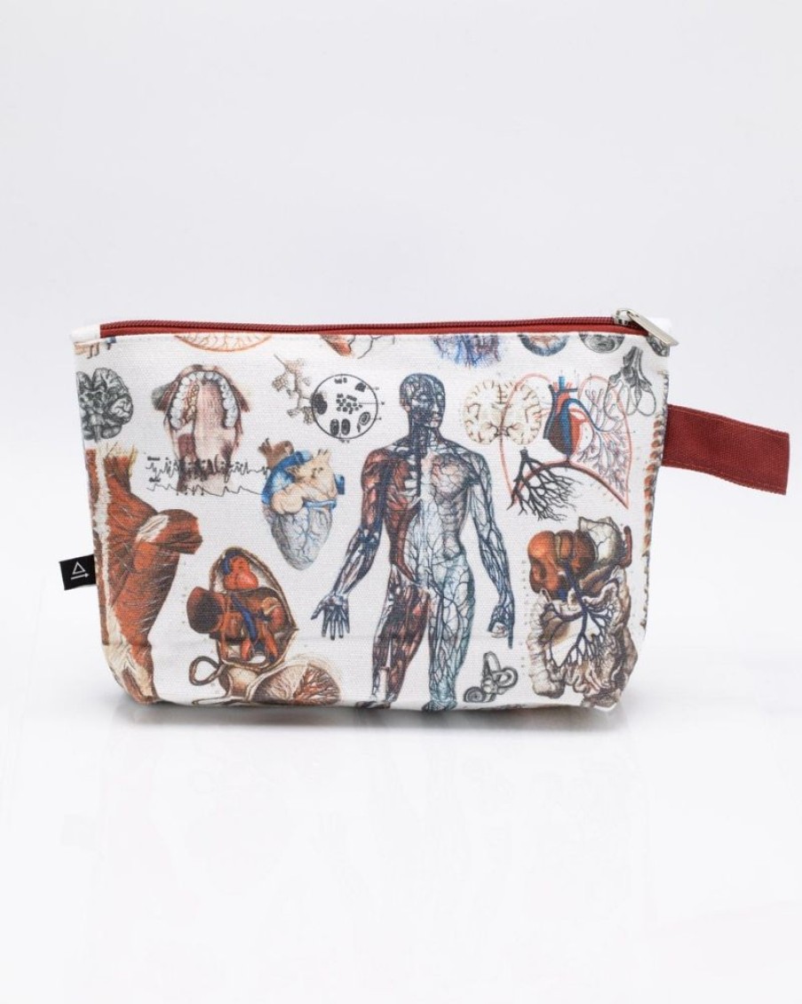 Bags Cognitive Surplus | Anatomy Pencil Bag