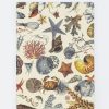 Notebooks Cognitive Surplus | Shallow Seas Plate 2 Softcover Notebook - Lined