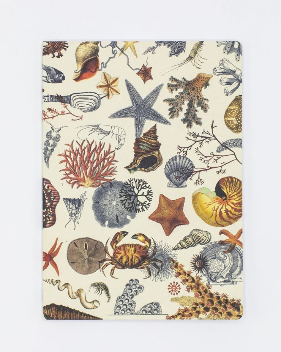 Notebooks Cognitive Surplus | Shallow Seas Plate 2 Softcover Notebook - Lined