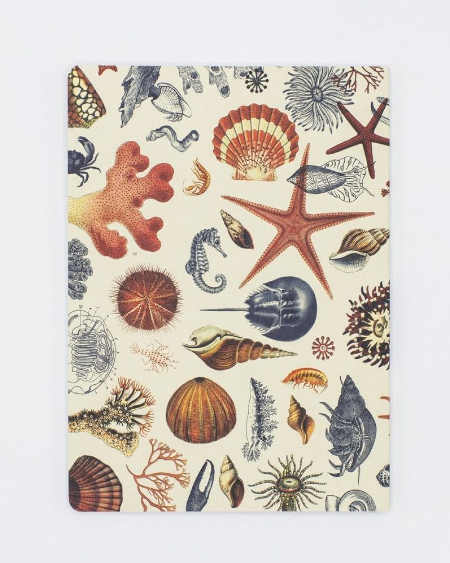 Notebooks Cognitive Surplus | Shallow Seas Plate 2 Softcover Notebook - Lined