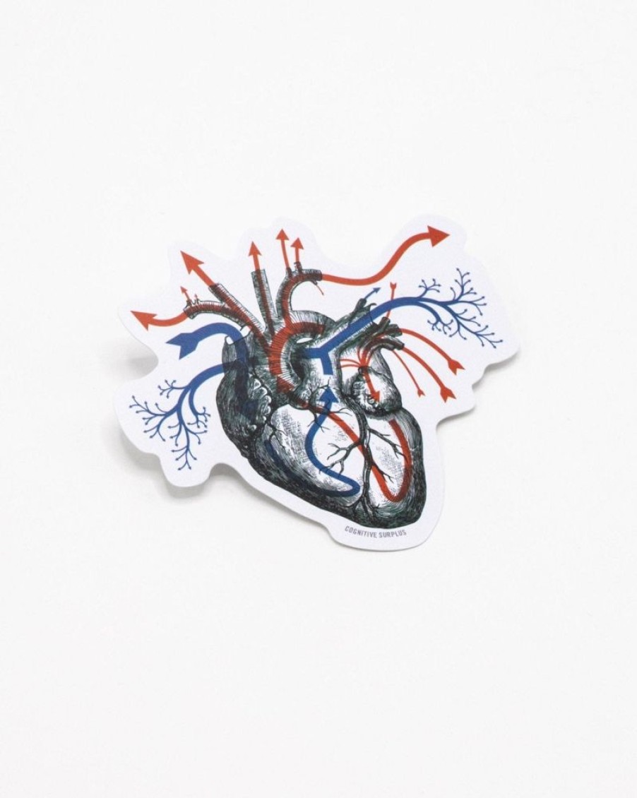 Stationery Cognitive Surplus | Heart Blood Flow Sticker