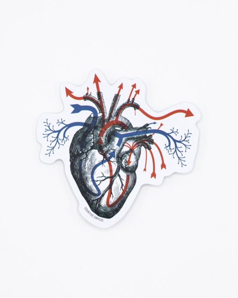 Stationery Cognitive Surplus | Heart Blood Flow Sticker