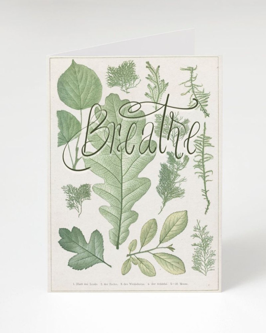 Stationery Cognitive Surplus | Breathe Card - Botanical Stationery | Cognitive Surplus