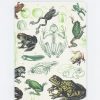 Notebooks Cognitive Surplus | Frogs & Toads Hardcover Notebook - Dot Grid