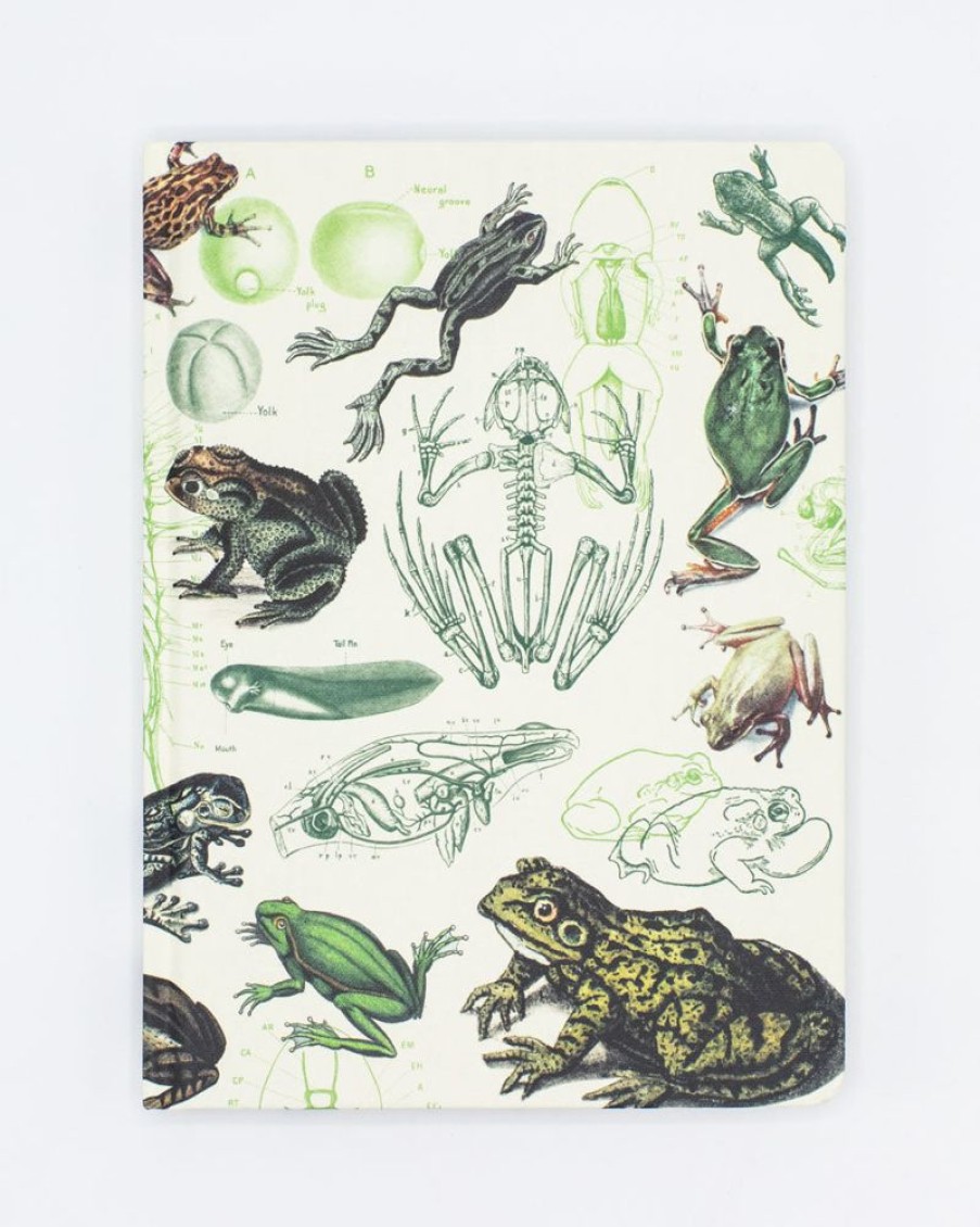 Notebooks Cognitive Surplus | Frogs & Toads Hardcover Notebook - Dot Grid