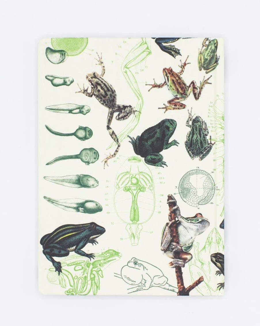 Notebooks Cognitive Surplus | Frogs & Toads Hardcover Notebook - Dot Grid