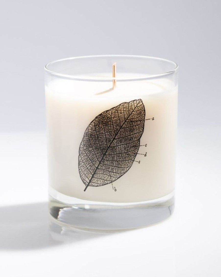 Home Cognitive Surplus | Leaf Diagram Cocktail Candle