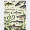 Notebooks Cognitive Surplus | Freshwater Fish Hardcover Notebook - Lined/Grid