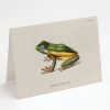 Stationery Cognitive Surplus | Tree Frog Greeting Card - Biology Stationery | Cognitive Surplus