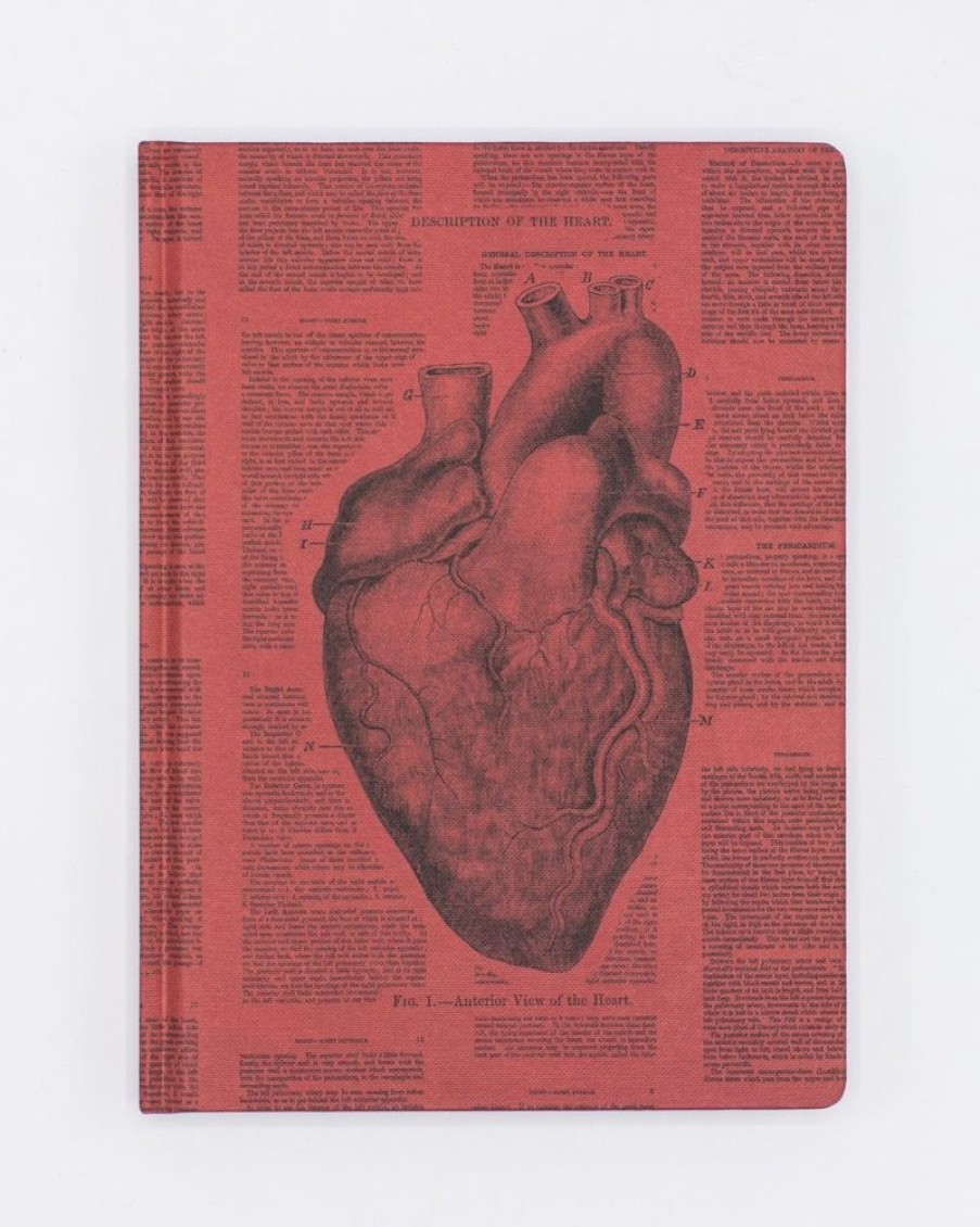 Notebooks Cognitive Surplus | Anatomical Heart Hardcover - Blank