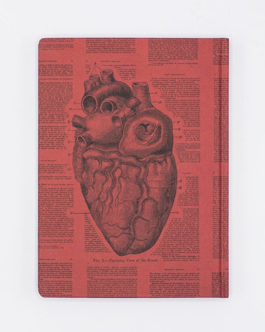 Notebooks Cognitive Surplus | Anatomical Heart Hardcover - Blank