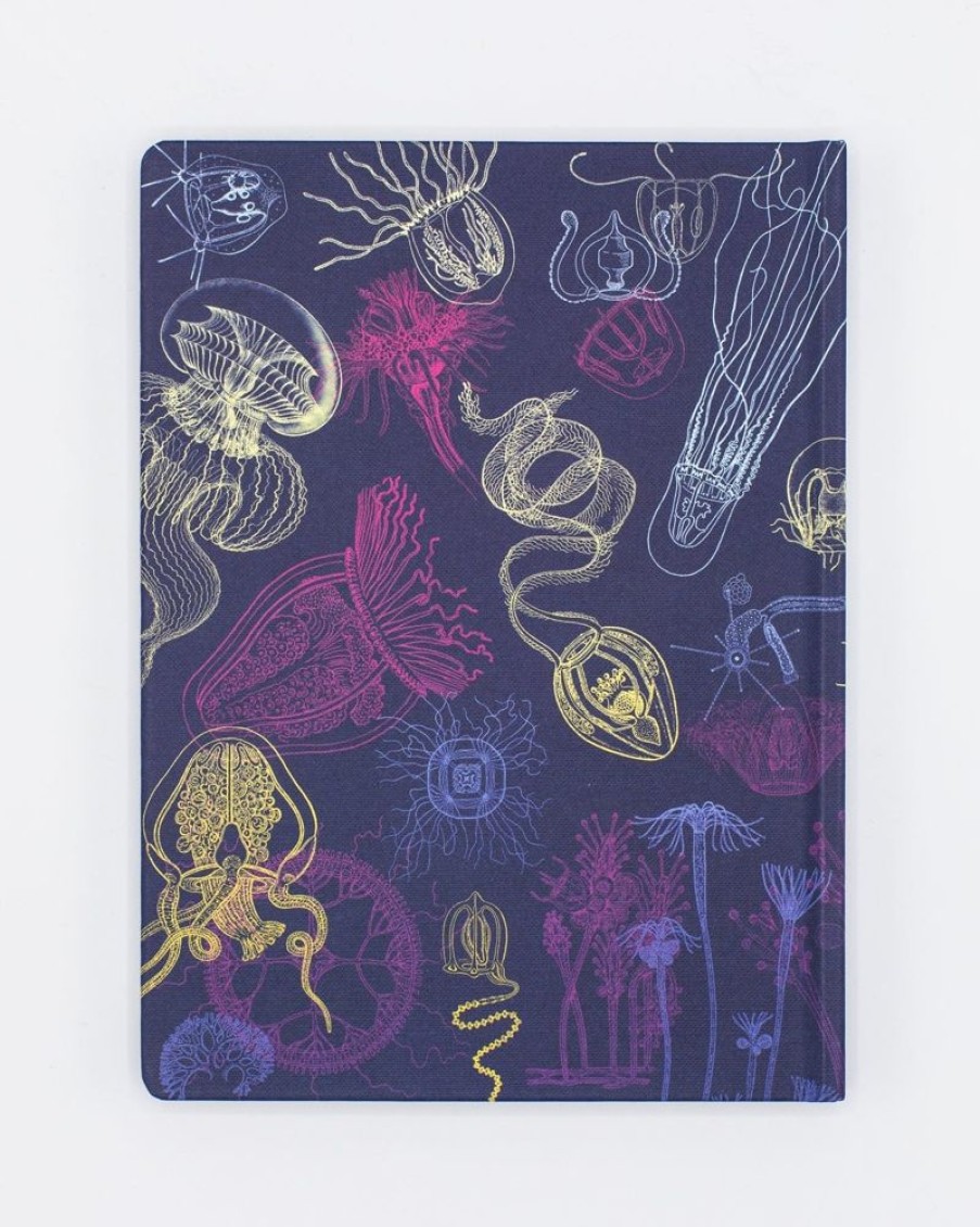 Notebooks Cognitive Surplus | Jellyfish Hardcover Notebook | Dot Grid Journal