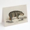 Stationery Cognitive Surplus | Hippopotamus Greeting Card - Science Stationery | Cognitive Surplus