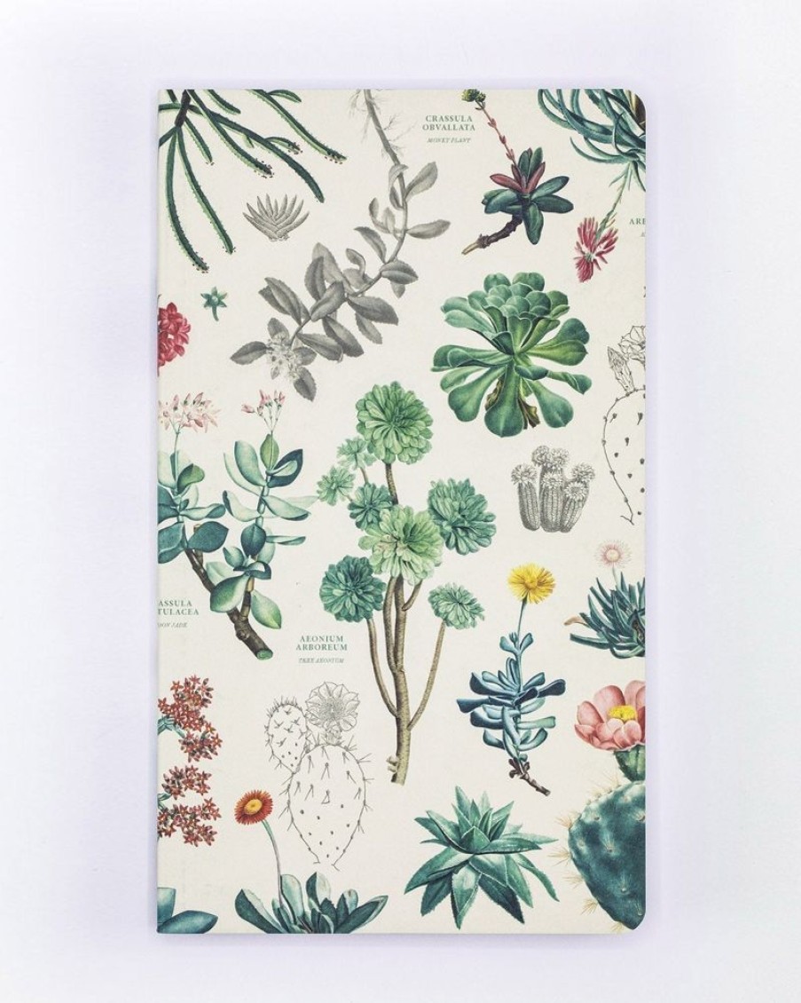 Notebooks Cognitive Surplus | Succulents Yearly Planner