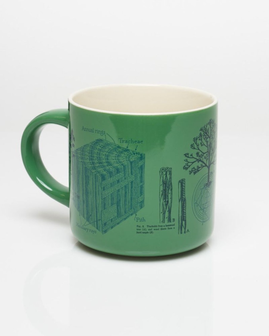 Kitchen + Bar Cognitive Surplus | Forest & Trees Mug - Naturalist Mug | Cognitive Surplus