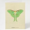 Stationery Cognitive Surplus | Luna Moth Illustration Card - Insect Print | Cognitive Surplus