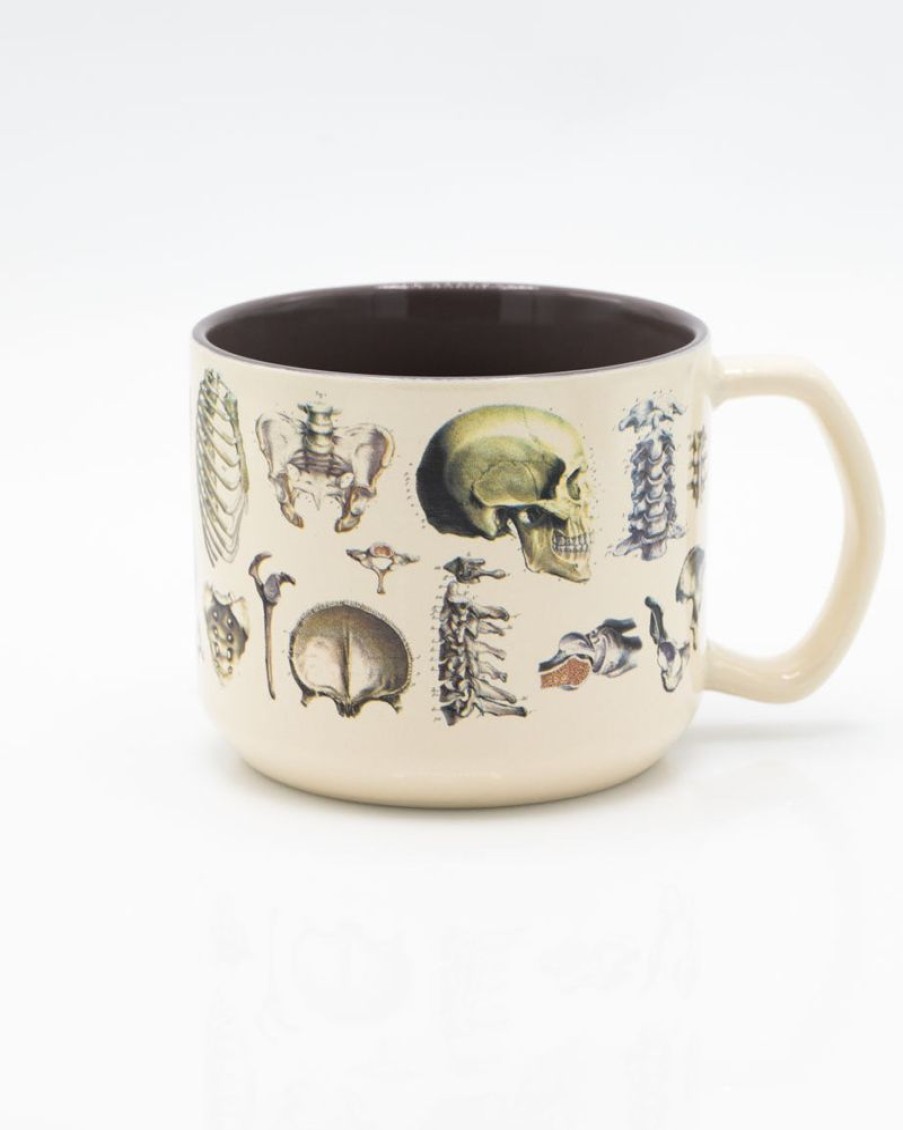 Kitchen + Bar Cognitive Surplus | Skeleton Anatomy Mug - Nurse Mug | Cognitive Surplus