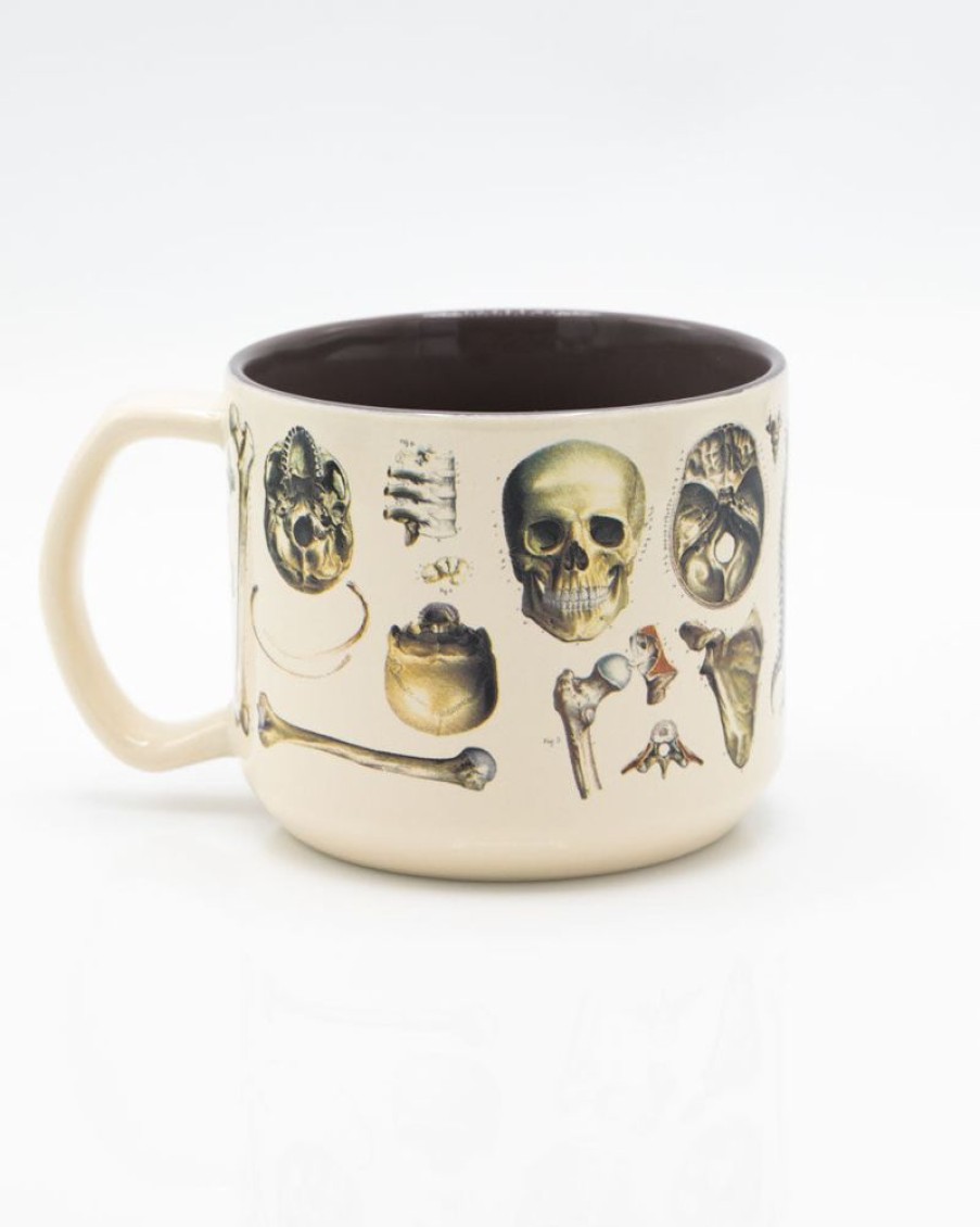 Kitchen + Bar Cognitive Surplus | Skeleton Anatomy Mug - Nurse Mug | Cognitive Surplus