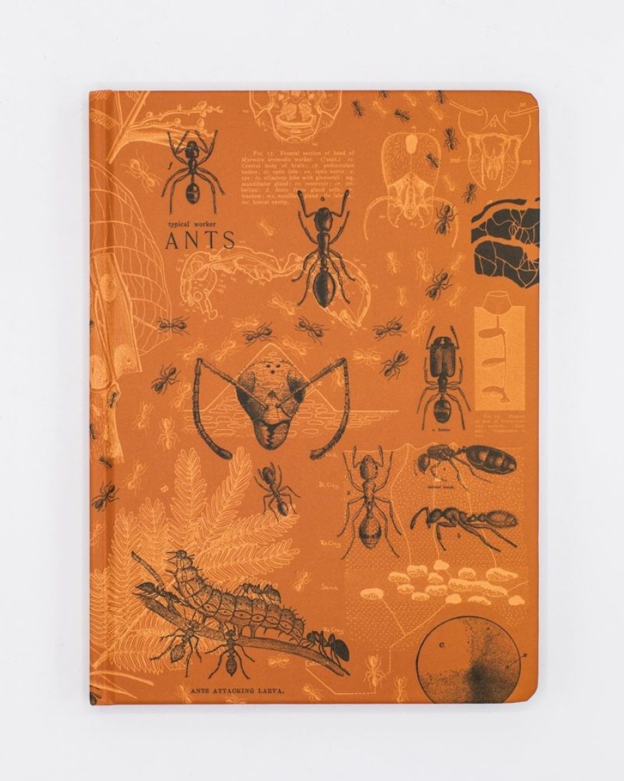 Notebooks Cognitive Surplus | Ants Hardcover Notebook | Cognitive Surplus