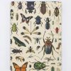 Notebooks Cognitive Surplus | Insect Hardcover Notebook | Insect Print